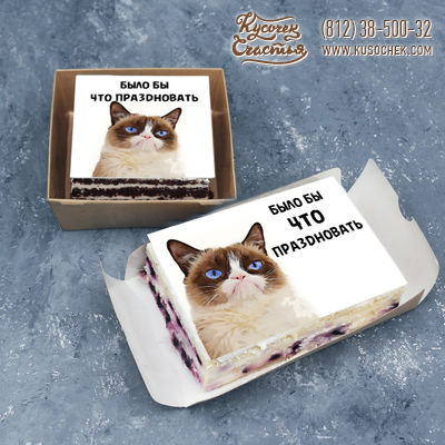 Торт «Недовольный кот (торт-открытка)»