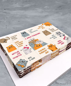 Котики торт-ассорти 20 на 30 см