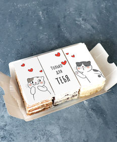 Набор пирожных «Мини-набор пирожных Только для тебя котики»