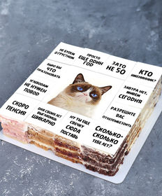 Недовольный кот торт-ассорти