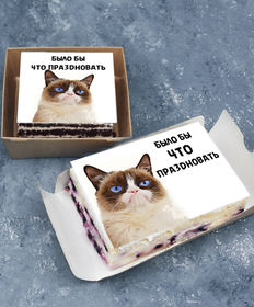 Недовольный кот торт-открытка