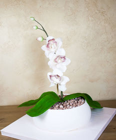 Праздничный торт «Орхидея»