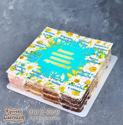 Торт «Ромашки и пожелания (торт-ассорти 20 на 20 см)»