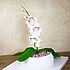 Торт «Орхидея» миниатюра 2